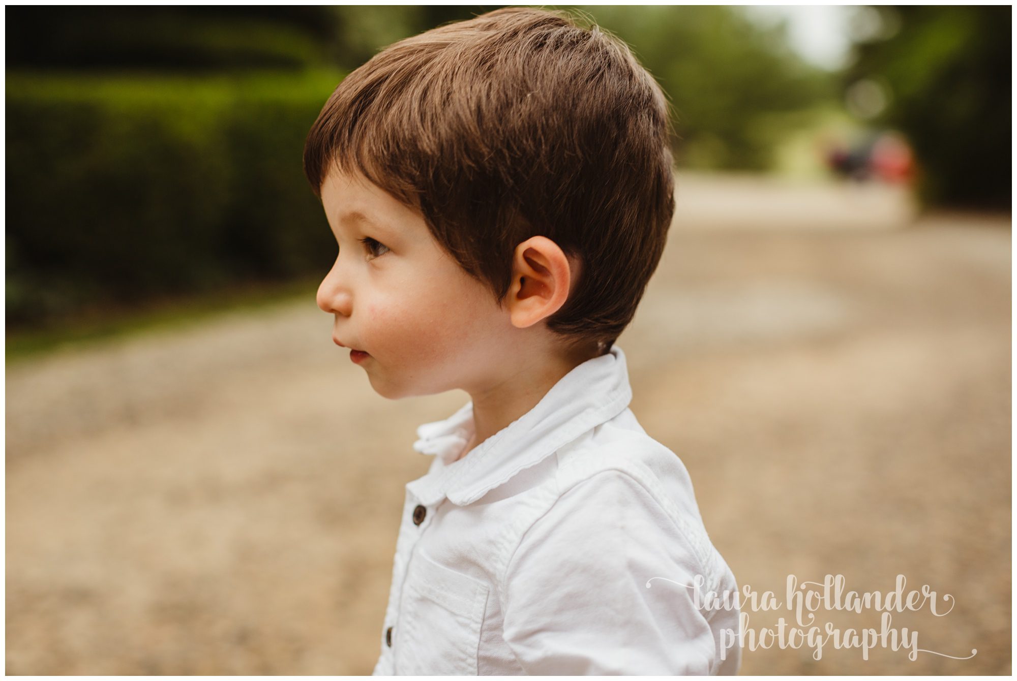 two year old boy, profile portrait, Laura Hollander Photography