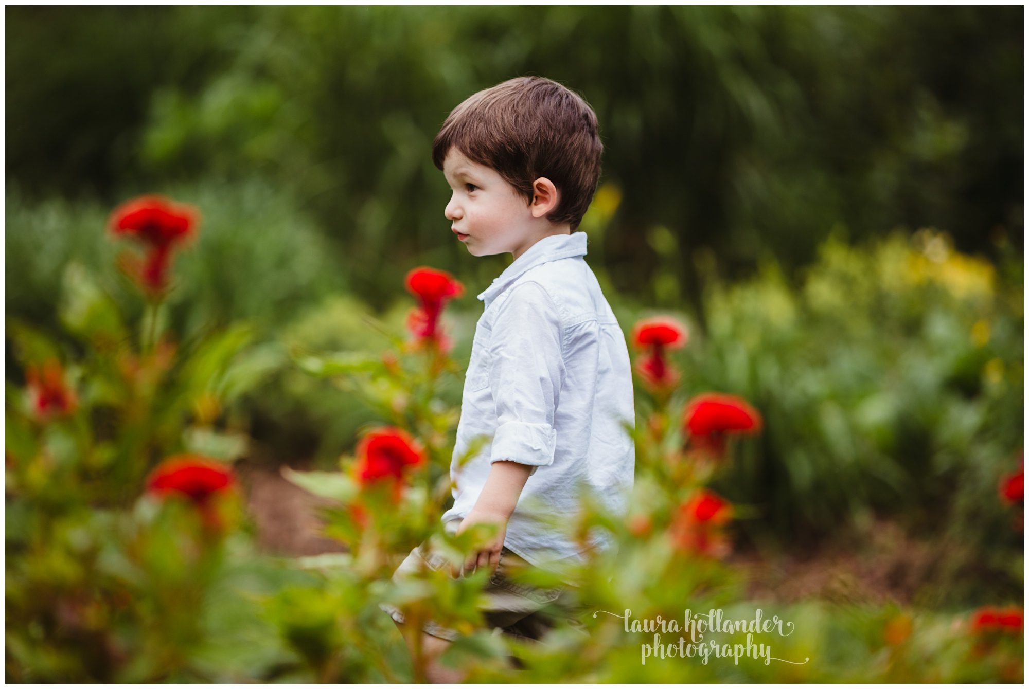 two year milestone session at Southern Exposure in Battle Creek, MI with Laura Hollander Photography, baby boy profile photo in the garden