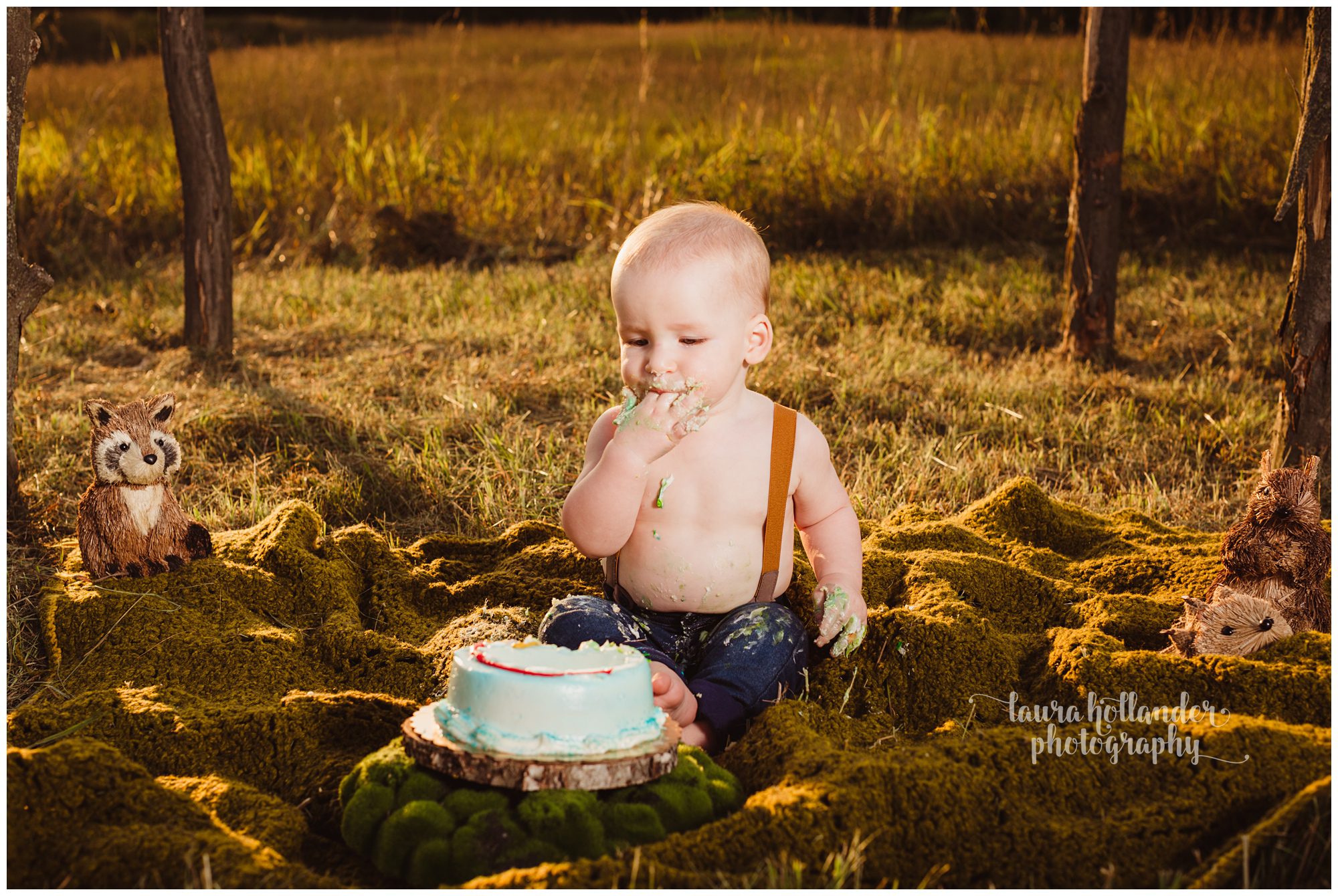 one year milestone, cake smash, field, Laura Hollander Photography, Battle Creek, MI