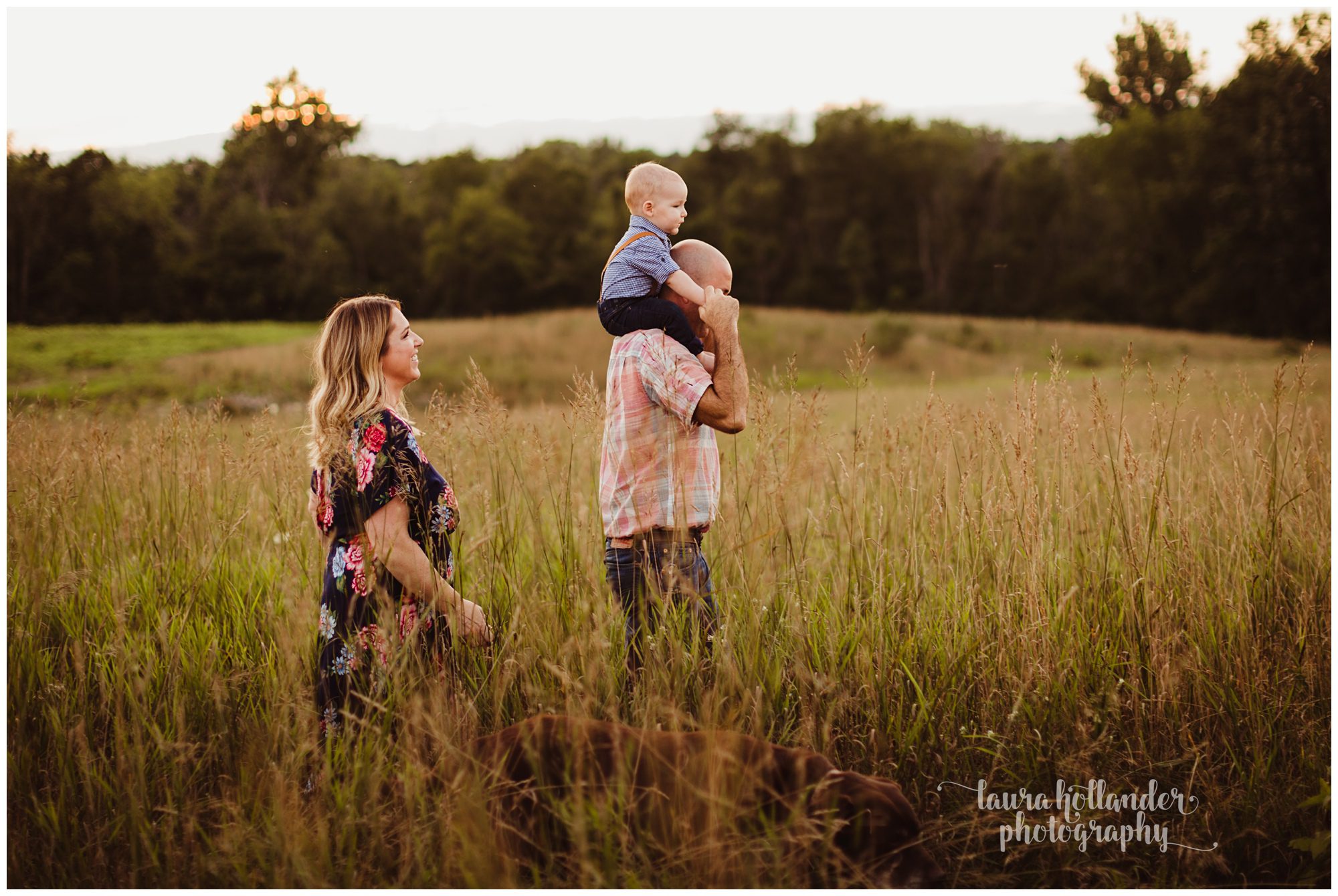 one year milestone, family portraits in a field, Laura Hollander Photography, Battle Creek, MI