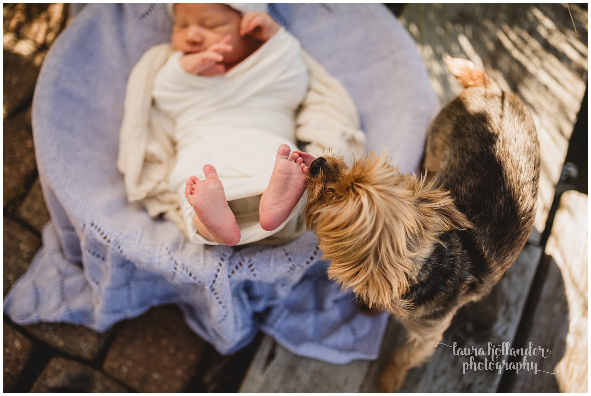 outdoor lifestyle newborn portraits in Battle Creek, MI, baby boy with puppy