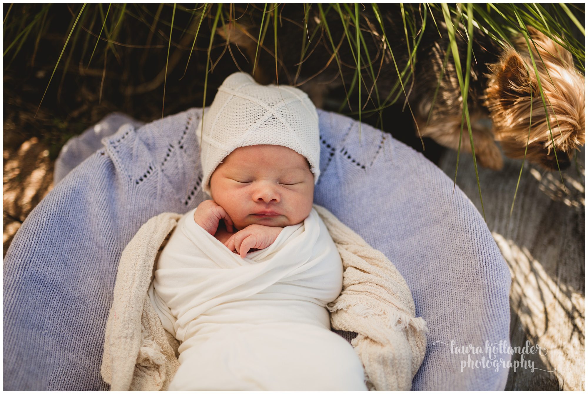 outdoor lifestyle newborn portraits in Battle Creek, MI, baby boy