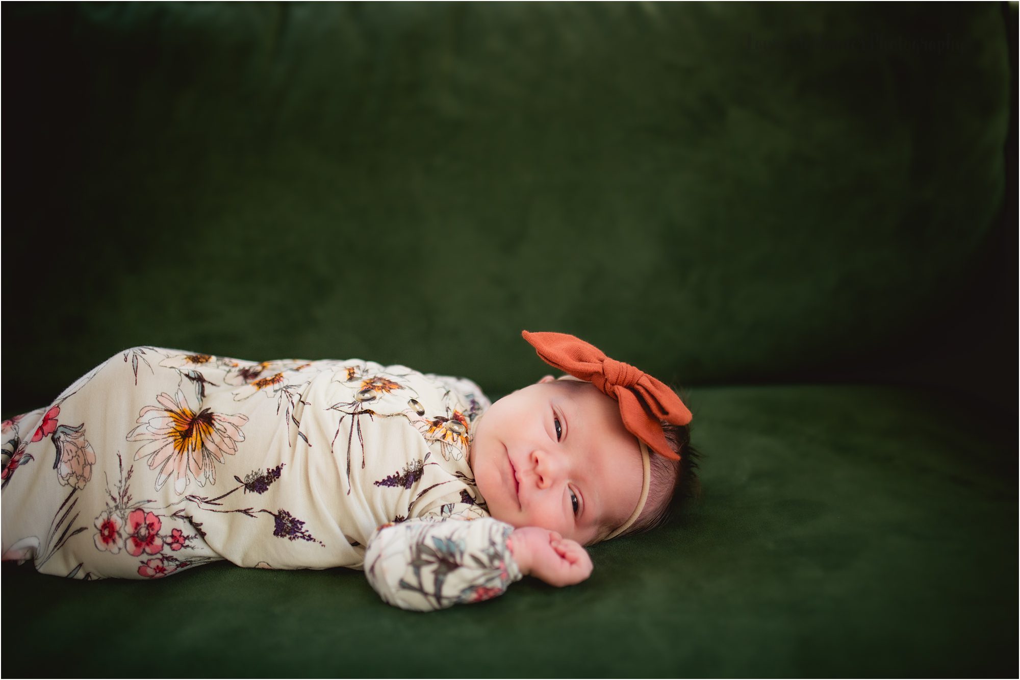 lifestyle newborn photography grand rapids, Laura Hollander Photography