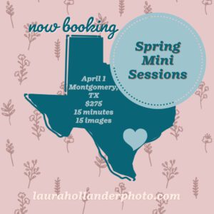 spring mini session graphic laura hollander photography