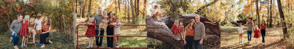 fall mini sessions battle creek Michigan